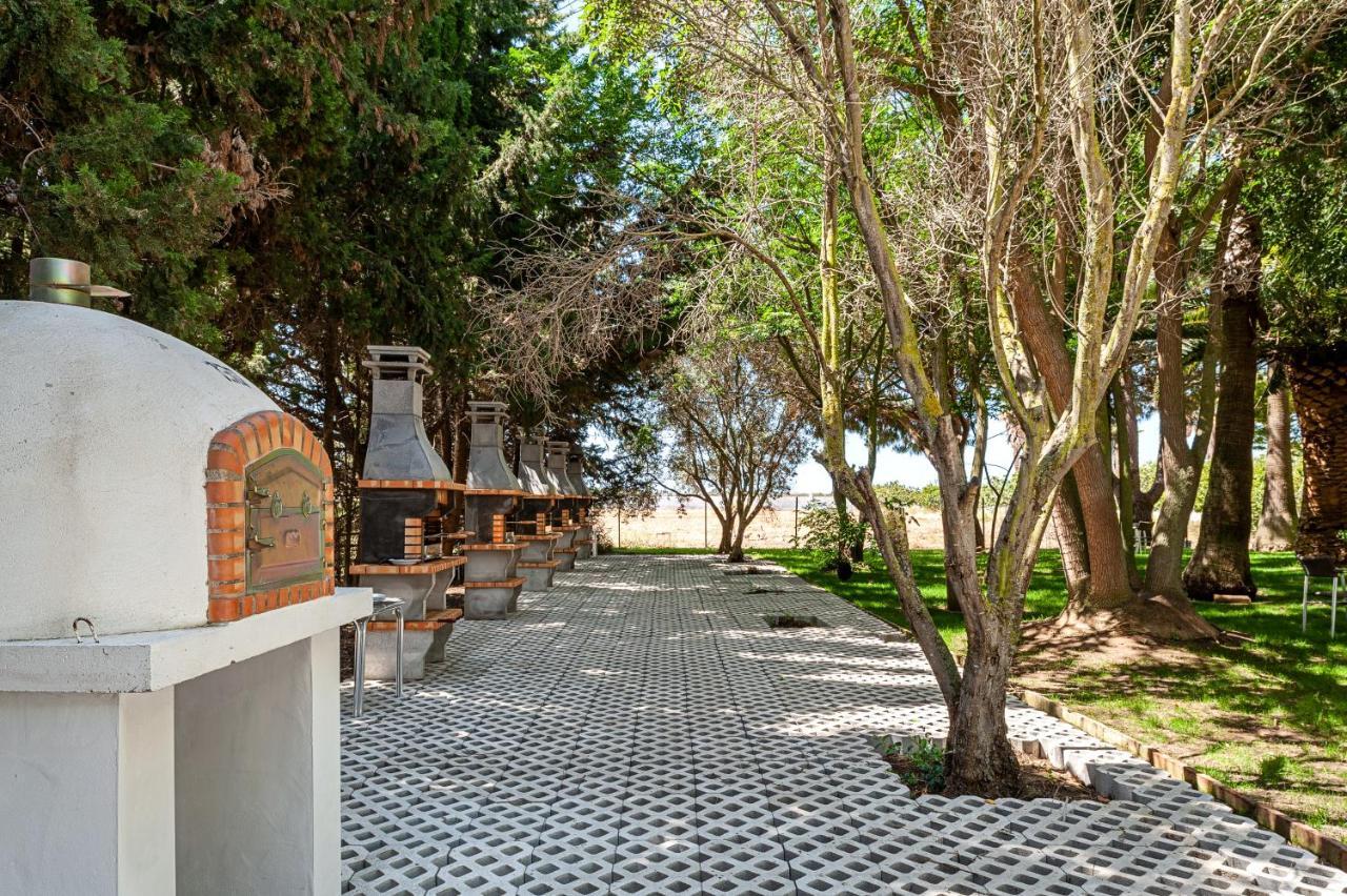 Alojamiento Rural La Jandeta Conil De La Frontera Buitenkant foto